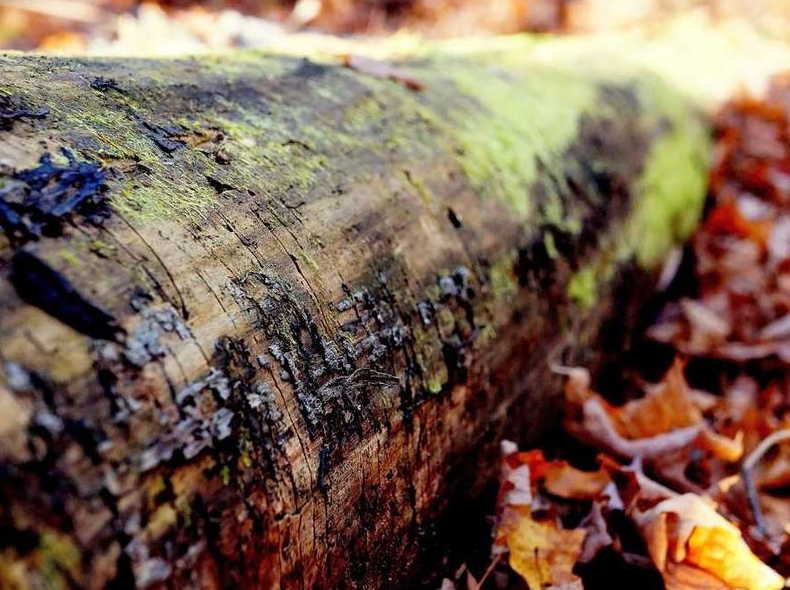快连VPN中文版适合教育网吗?学生宿舍免费流量技巧