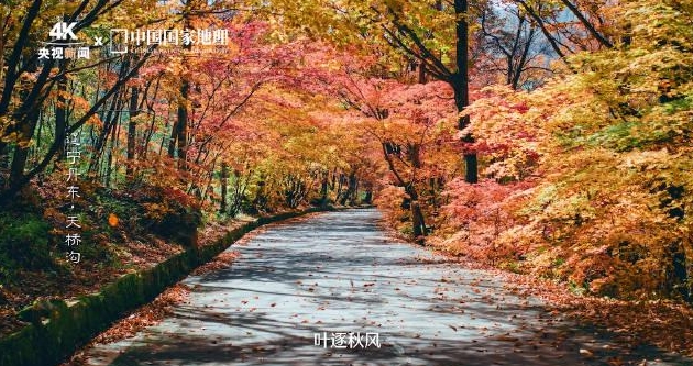 快连VPN官网邀请码额外送10天