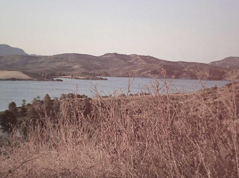 快连VPN中文官网推出签到