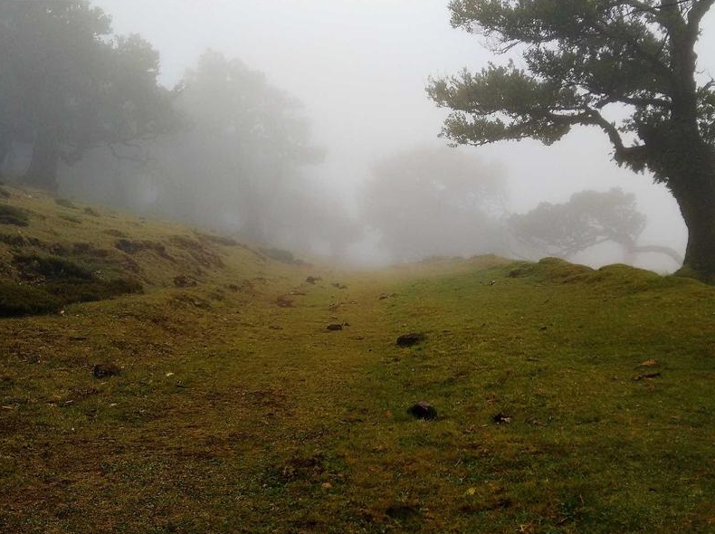 快连VPN节点印度Hotstar